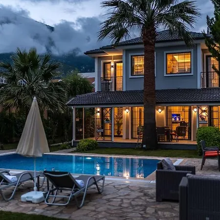 Villa Palmiye Jakuzi Ve Havuzlu Luks Tatil Evi - Ocekhomes