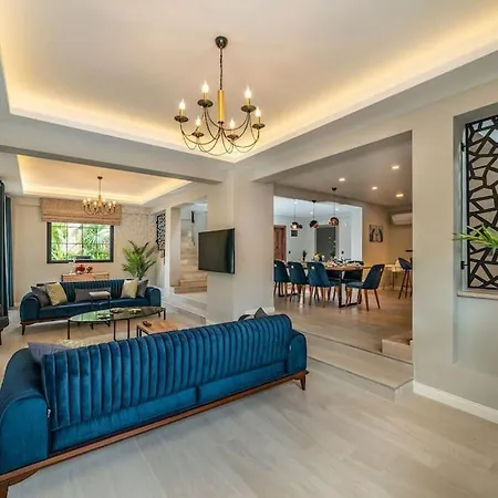 Palmiye Jakuzi Ve Havuzlu Luks Tatil Evi - Ocekhomes *