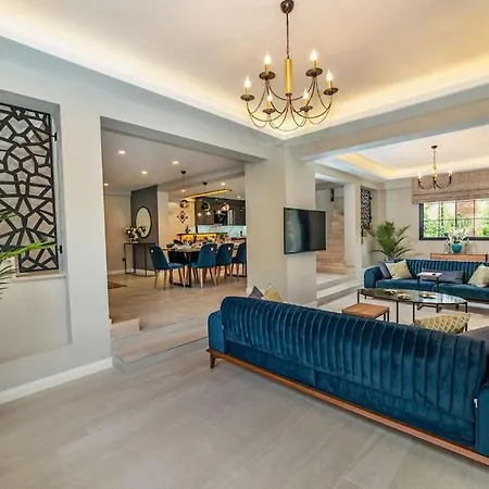 Palmiye Jakuzi Ve Havuzlu Luks Tatil Evi - Ocekhomes