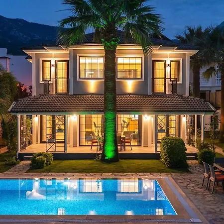 Villa Palmiye Jakuzi Ve Havuzlu Luks Tatil Evi - Ocekhomes