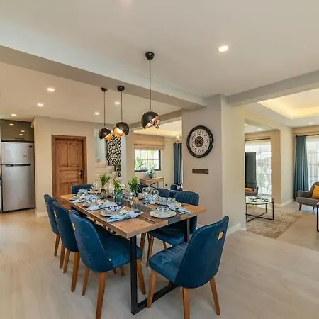 Palmiye Jakuzi Ve Havuzlu Luks Tatil Evi - Ocekhomes *