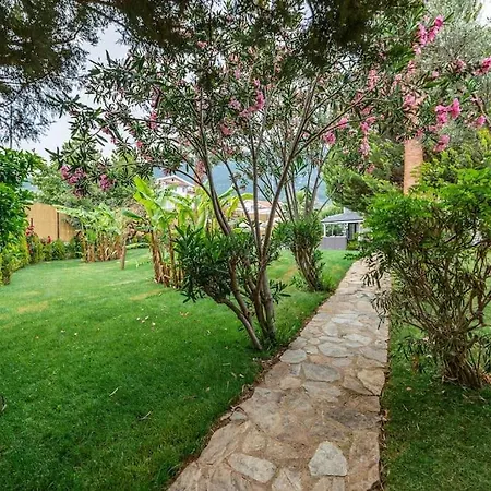 Palmiye Jakuzi Ve Havuzlu Luks Tatil Evi - Ocekhomes Fethiye