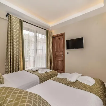 Villa Palmiye Jakuzi Ve Havuzlu Luks Tatil Evi - Ocekhomes