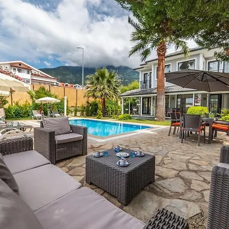 Palmiye Jakuzi Ve Havuzlu Luks Tatil Evi - Ocekhomes *